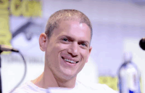 wentworth miller partner