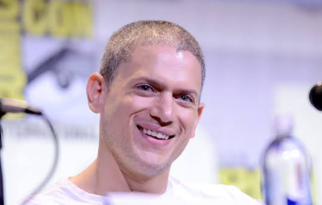 wentworth miller partner